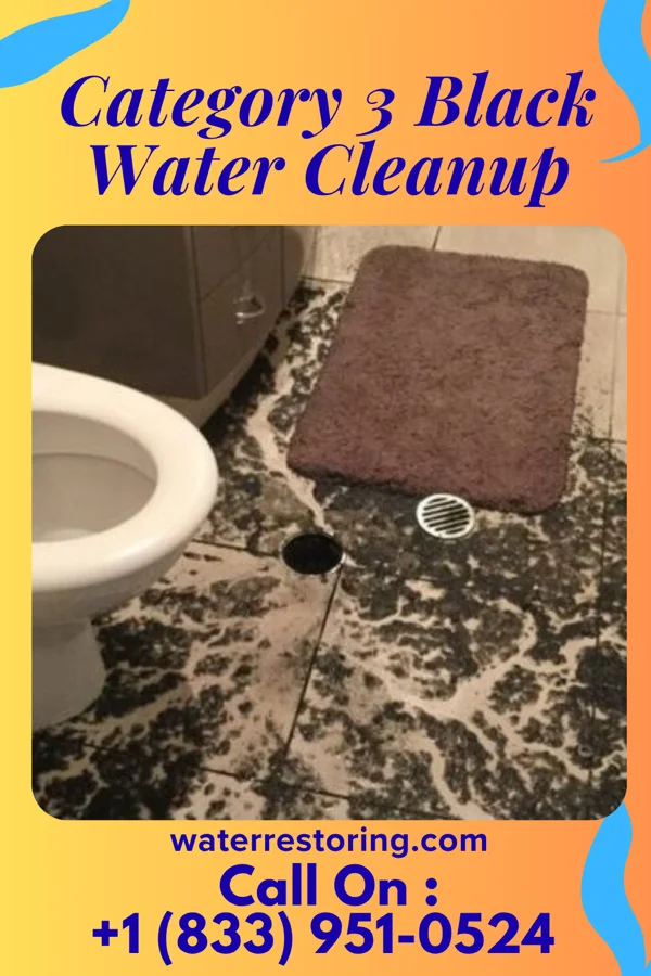Category 3 Black Water Cleanup in Braddyville, IA