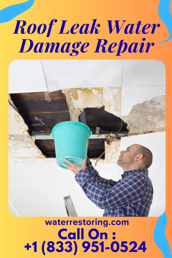 Roof Leak Water Damage Repair in Braddyville, IA