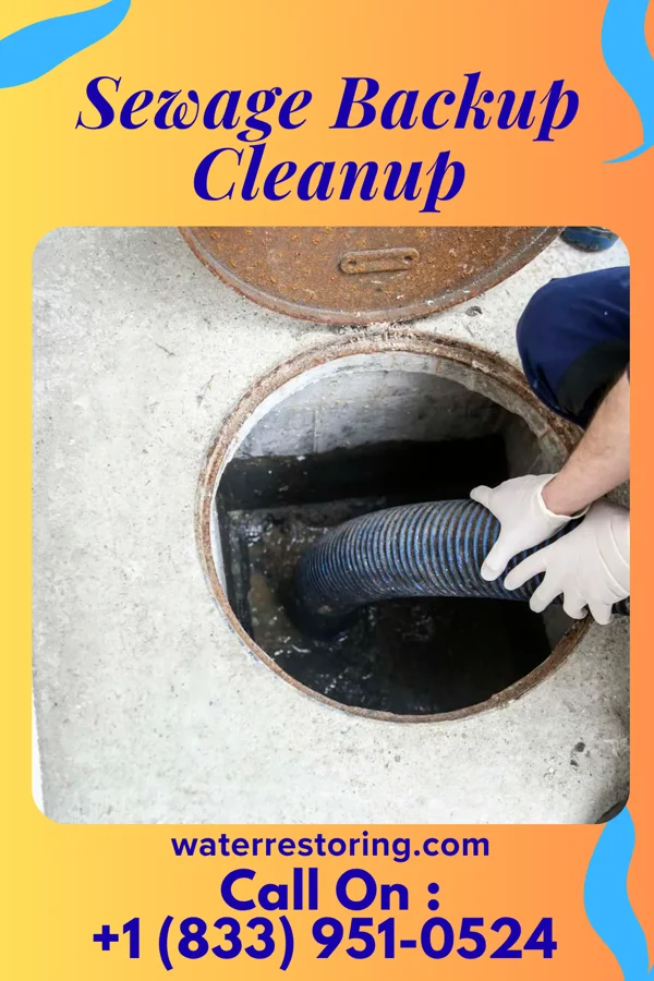 Sewage Backup Cleanup in Braddyville, IA