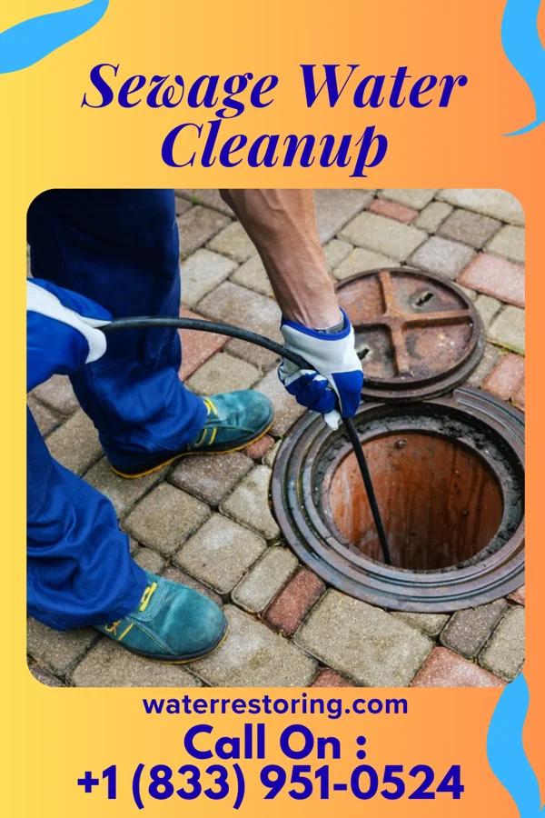 Sewage Water Cleanup in Braddyville, IA